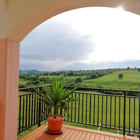 Agriturismo Podere Verdicchio Scansano Extérieur photo