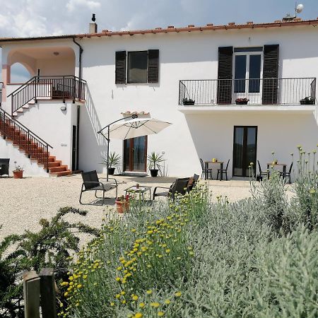 Agriturismo Podere Verdicchio Scansano Extérieur photo