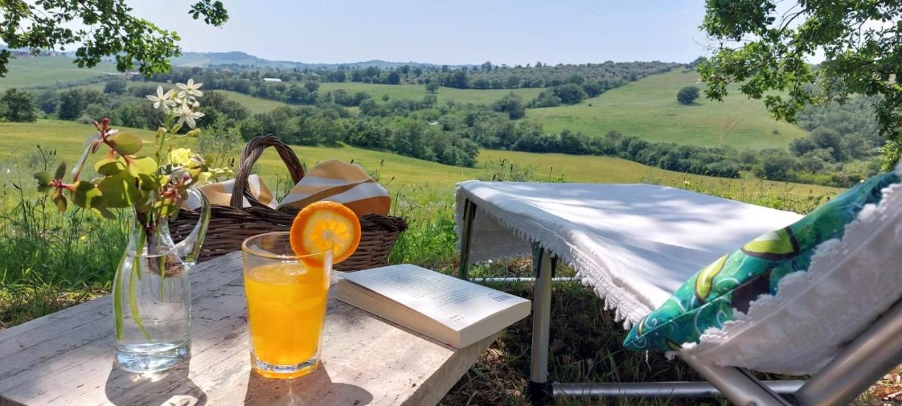 Agriturismo Podere Verdicchio Scansano Extérieur photo